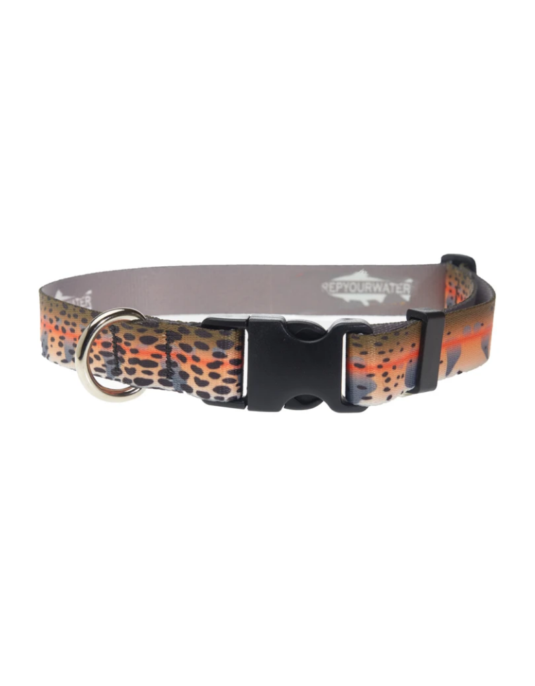 Rep Your Water Dog Collar