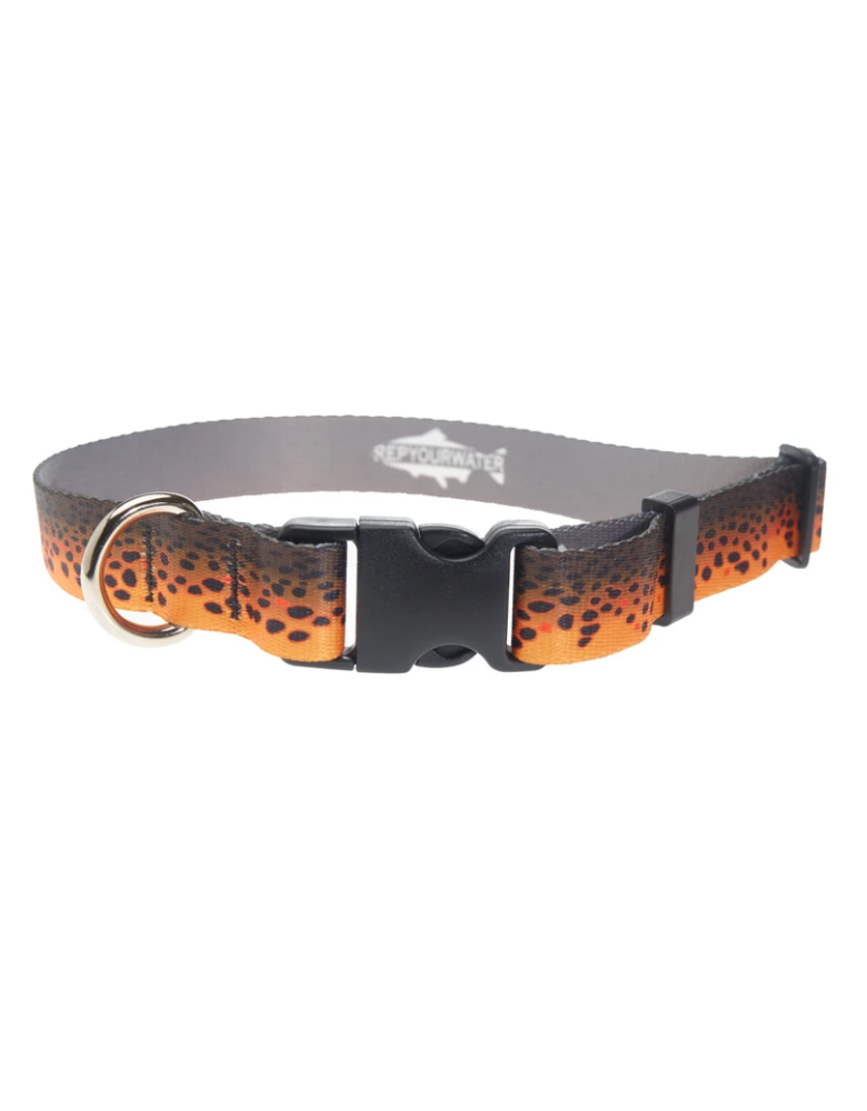 Rep Your Water Dog Collar