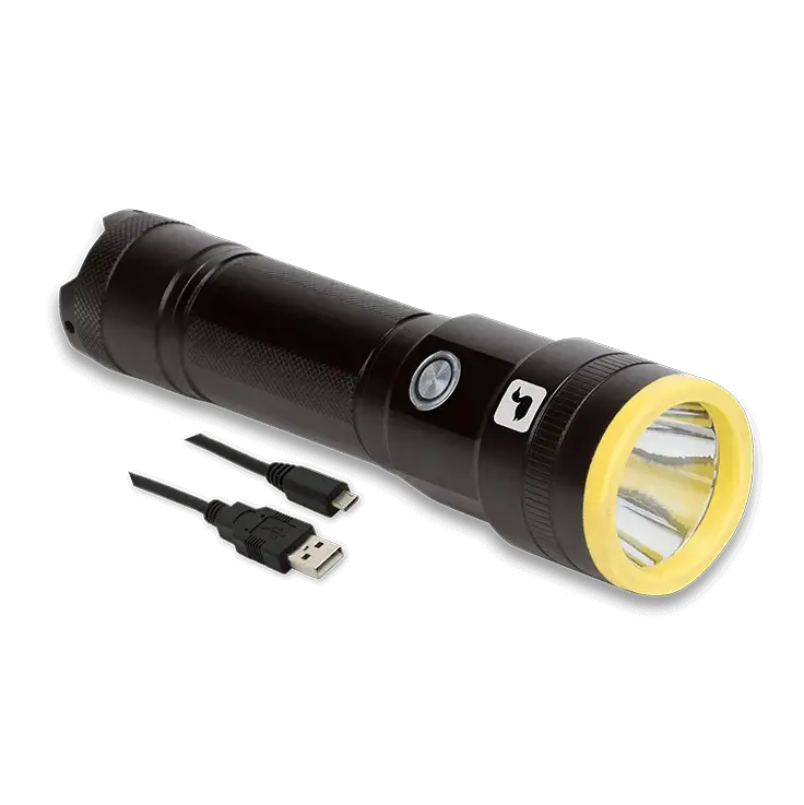 Loon UV Plasma Light